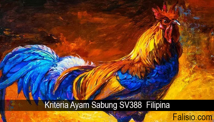 Kriteria Ayam Sabung SV388 Filipina