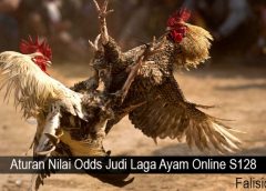 Aturan Nilai Odds Judi Laga Ayam Online S128